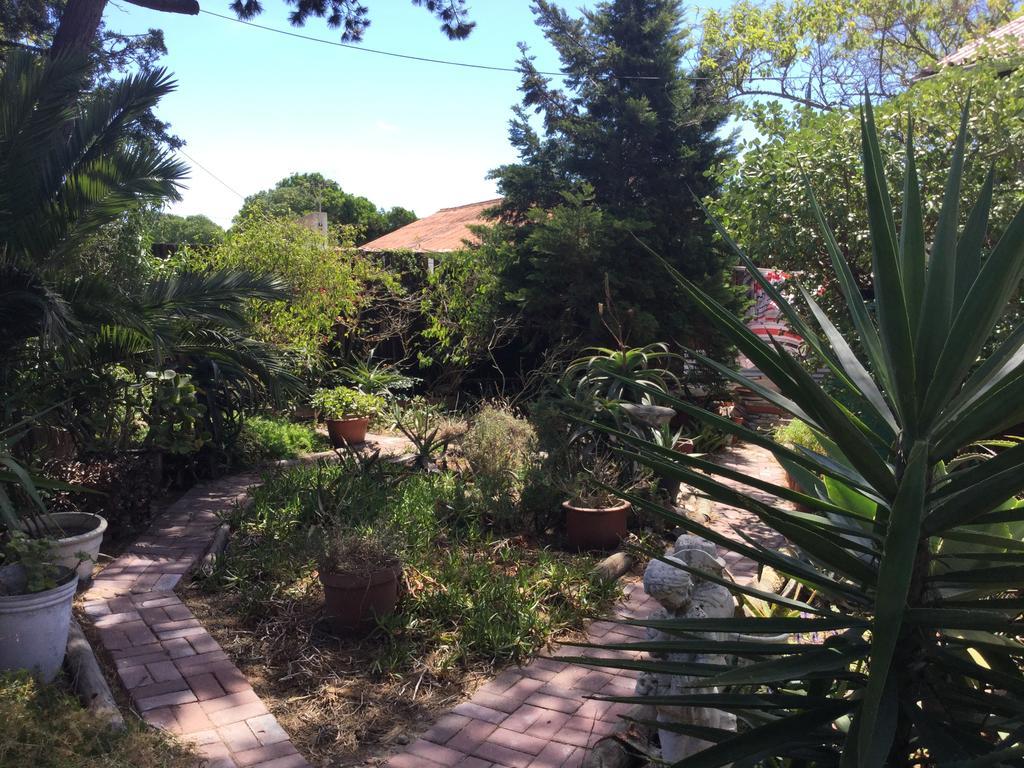 The Buddha Garden Cidade Do Cabo Exterior foto